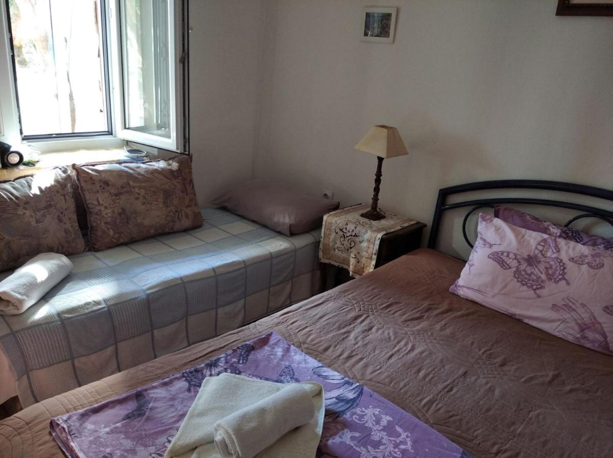 Apartment Cepic 헤르섹 외부 사진